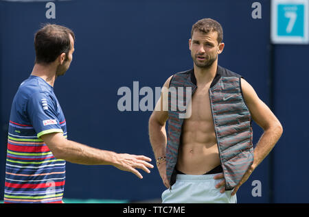 London, Großbritannien. 16 Juni, 2019. Grigor DIMITROV Bulgarien während der Praxis & Qualifying Tennis auf dem Fever-Tree Meisterschaften im Queen's Club, London, England am 16. Juni 2019. Foto von Andy Rowland. Credit: PRiME Media Images/Alamy leben Nachrichten Stockfoto