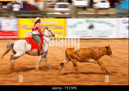 Rodeo ist ein beliebter Zeitvertreib in Mato Grosso Do Sul, Stadt Bonito, Brasilien Stockfoto