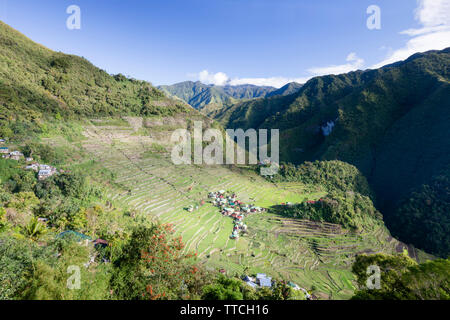 Batad Reis Terrassen, in der Nähe von Banaue, Philippinen Stockfoto