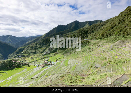 Batad Reis Terrassen, in der Nähe von Banaue, Philippinen Stockfoto