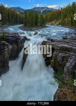 Sommer am Sunwapta Falls an der Icefields Parkway, Jasper National Park, Alberta, Kanada Stockfoto