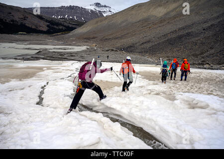 Bergsteiger, Trekker, Kletterer, Wanderer und Touristen, den Gletscher zu Fuß zu erkunden, an der Columbia Icefield, Jasper National Stockfoto