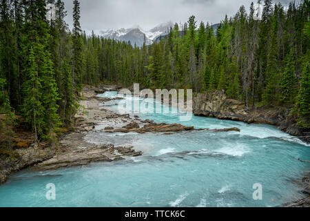 Den Kicking Horse River fließt von den Bergen herab, wurde zu einem Wasserfall, bevor es unter einer natürlichen Brücke geht, Yoho National Park, British Columbi Stockfoto