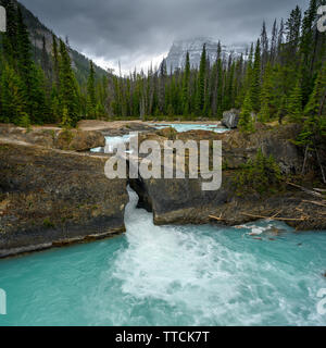 Den Kicking Horse River fließt von den Bergen herab, wurde zu einem Wasserfall, bevor es unter einer natürlichen Brücke geht, Yoho National Park, British Columbi Stockfoto