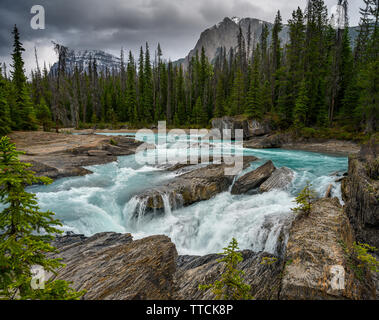 Den Kicking Horse River fließt von den Bergen herab, wurde zu einem Wasserfall, bevor es unter einer natürlichen Brücke geht, Yoho National Park, British Columbi Stockfoto