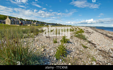 PORTGORDON Moray in Schottland die Häuser des Dorfes mit Blick auf den weitläufigen Strand, wo Dichtungen Ausruhen und Sonnenbaden Stockfoto