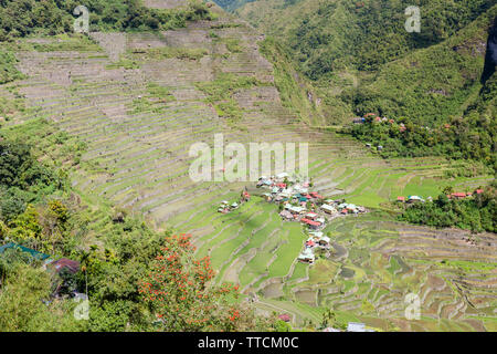 Batad Reis Terrassen, in der Nähe von Banaue, Philippinen Stockfoto