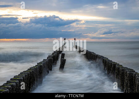 Nordsee Strand in der Nähe von Domburg, Zeeland Provinz, Halbinsel Walcheren, Niederlande, Holz- Wellenbrecher, Stockfoto