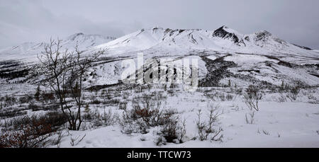 Tombstone Territorial finden Ende März, Yukon, Kanada Stockfoto