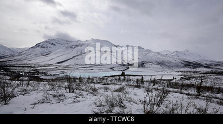 Tombstone Territorial finden Ende März, Yukon, Kanada Stockfoto