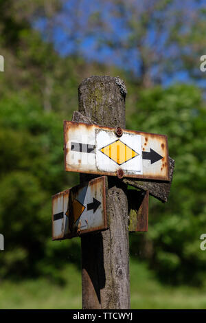 Wandern im Schwarzwald Stockfoto