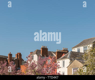 Attraktive Häuser auf Merton Street, Oxford, Großbritannien Stockfoto