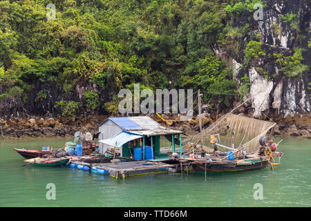 Schwimmende Fischerdorf in Ha Long Bucht in der Nähe von Insel Cat Ba, Hai Phong Provinz, Vietnam, Asien Stockfoto