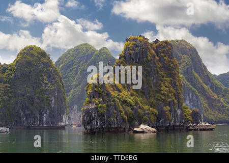 Kalkstein Inseln in Ha Long Bucht in der Nähe von Insel Cat Ba, Hai Phong Provinz, Vietnam, Asien Stockfoto