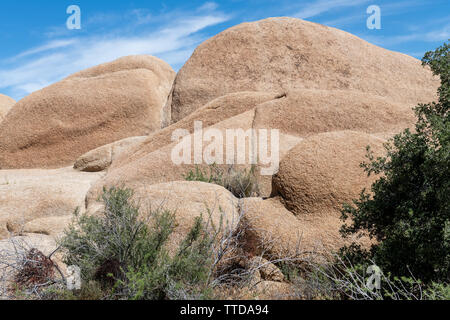Große Felsbrocken in der Nähe von Skull Rock im Joshua Tree National Park, Kalifornien, USA Stockfoto