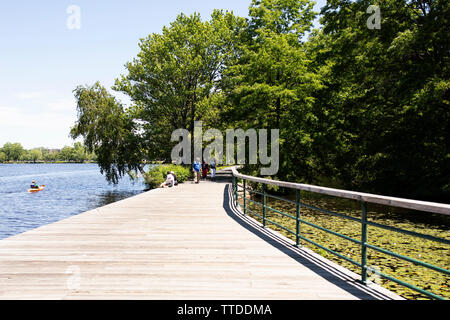 Ein Sommertag auf der Promenade entlang des Charles River bei Christian Herter Park in Boston, Massachusetts, USA. Stockfoto