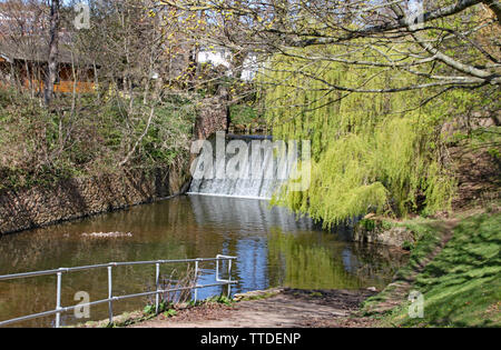 Die wehr auf dem Fluss Sid in Honiton, Devon in der Parkanlage als Byes bekannt Stockfoto