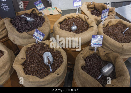 Barrel bio Kaffeebohnen zum Verkauf für einen großen Lebensmittelmarkt in New York City. Stockfoto