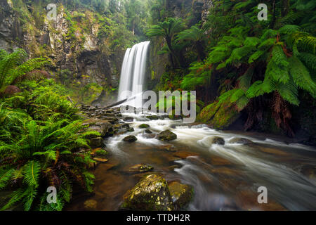 Hopetoun Falls ein beliebter Wasserfall in den Otway Ranges an der Great Ocean Road nahe Apollo Bay Stockfoto