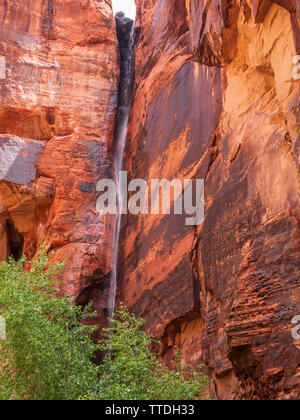 Wasserfall in der Johnson Canyon, Johnson Canyon Trail, Snow Canyon State Park, St. George, Utah. Stockfoto