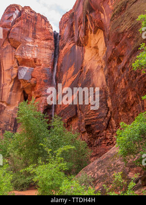 Wasserfall in der Johnson Canyon, Johnson Canyon Trail, Snow Canyon State Park, St. George, Utah. Stockfoto