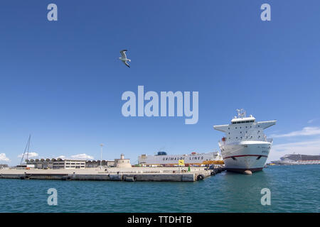 PALMA, MALLORCA, SPANIEN - 20. MAI 2019: Frachtschiff Super schnelle Levante aus Teneriffa in Palma Hafen an einem sonnigen Tag am 20. Mai 2019 günstig in Palma, Mal Stockfoto