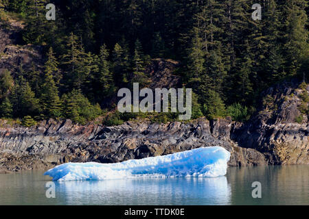 Eis, Endicott Arm, Holkham Bay, Juneau, Alaska, USA Stockfoto