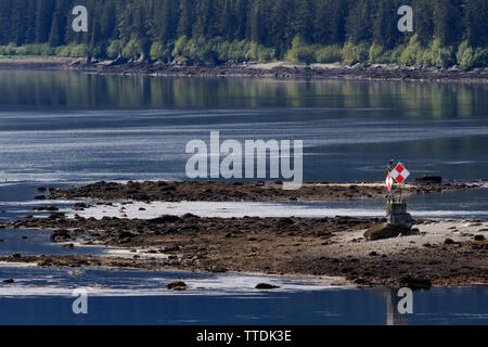 Holz Spieß Licht, Endicott Arm, Holkham Bay, Juneau, Alaska, USA Stockfoto