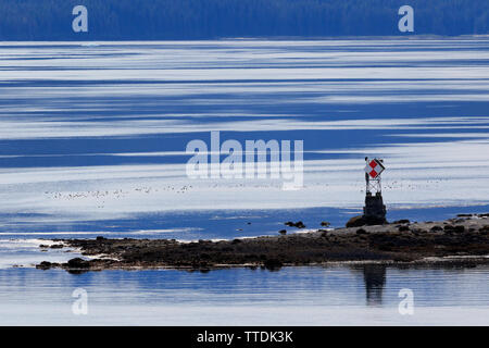 Holz Spieß Licht, Endicott Arm, Holkham Bay, Juneau, Alaska, USA Stockfoto