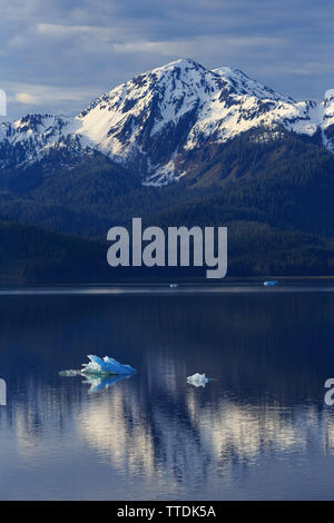 Endicott Arm, Holkham Bay, Juneau, Alaska, USA Stockfoto