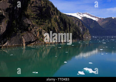 Eis, Endicott Arm, Holkham Bay, Juneau, Alaska, USA Stockfoto