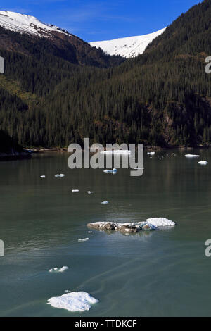 Eis, Endicott Arm, Holkham Bay, Juneau, Alaska, USA Stockfoto