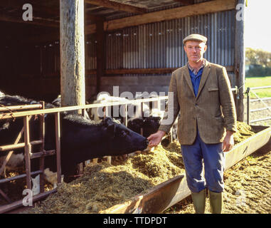 Milchbauern mit Kühe melken vergossen, Mid Glamorgan, Wales, Vereinigtes Königreich Stockfoto