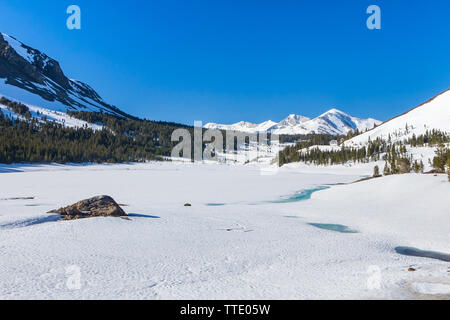 Die gefrorenen Tioga Lake auf der Autobahn 120 (der Tioga Pass) in der östlichen Sierra Nevada Kalifornien USA. Juni 2019. Stockfoto