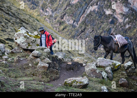 Ein Mann führt sein Maultier entlang einer remote Mountain Trail in der Region Cusco in Peru Stockfoto