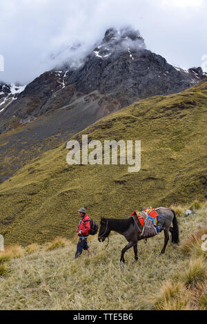 Ein Mann führt sein Maultier entlang einer remote Mountain Trail in der Region Cusco in Peru Stockfoto