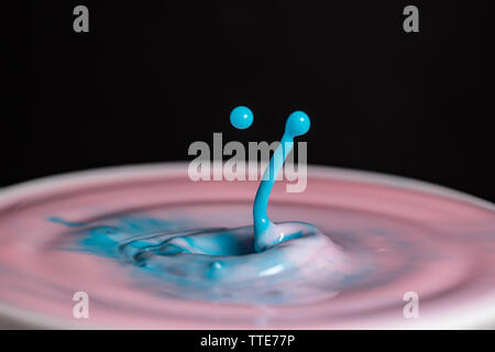 Spritzer Milch Tröpfchen in Nahaufnahme makro High Resolution gegen einen schwarzen Hintergrund isoliert Stockfoto