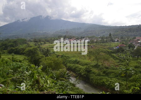 Wundervoller Regenwald Tropis Central java ungaran Mount indonesia Stockfoto