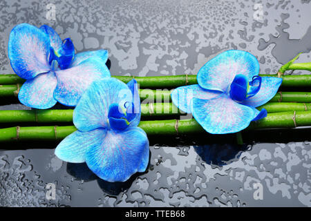 Schöne Komposition mit blauen Orchideen und Bambus Stockfoto