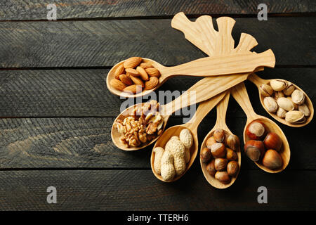 Löffel mit Haselnüssen, Walnüssen, Pistazien, Mandeln, Eicheln und Erdnüsse, auf grau Holz- Hintergrund Stockfoto