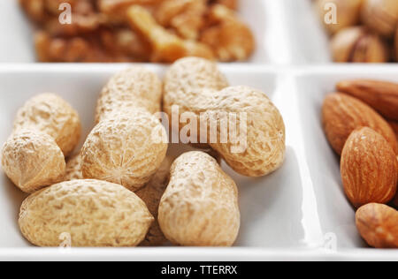 Walnusskerne, Mandeln, Pistazien, Erdnüsse in der keramischen Rechteck, Platte, close-up Stockfoto