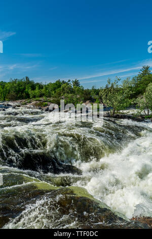 Burleigh Falls Peterborough Canada zeigt wunderschöne rosa Felsen, Stromschnellen und Wasserfälle an einem sonnigen Sommertag Stockfoto