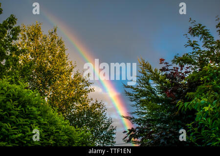 Ein Regenbogen erscheint in einer stürmischen bewölkten Himmel - perfekt von sattem Grün umgeben. Die britische Landschaft und Wetter. Oxfordshire, England. Stockfoto