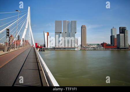 Erasmus Brücke über den Fluss Maas mit modernen Wolkenkratzern im Hintergrund, Rotterdam, Niederlande Stockfoto