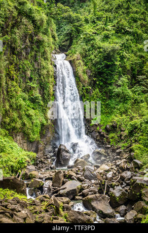 Trafalgar Falls, berühmten Wasserfall in Dominica, Karibik Stockfoto