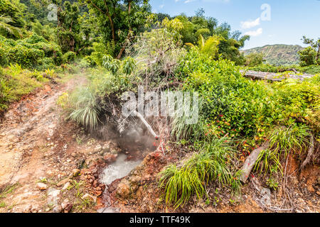 Natürlichen heißen Quellen auf der Insel Dominica. Stockfoto