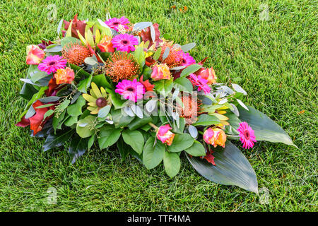 Bunte Blumenarrangement auf grünem Grasfeld. Stockfoto