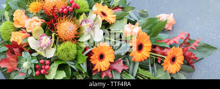 Blumenschmuck. Ansicht von oben und aus der Nähe von orange Blumen. Florale Banner. Stockfoto