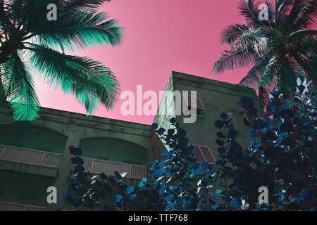 Tief unten, hoch aufragende Hotel mit Palmen encrouching auf dem Bild, rosa Reich Himmel und blau grün Pflanzen Stockfoto