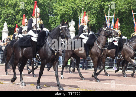 Blues und Royals des Household Cavalry für die Farbe 2019 Stockfoto